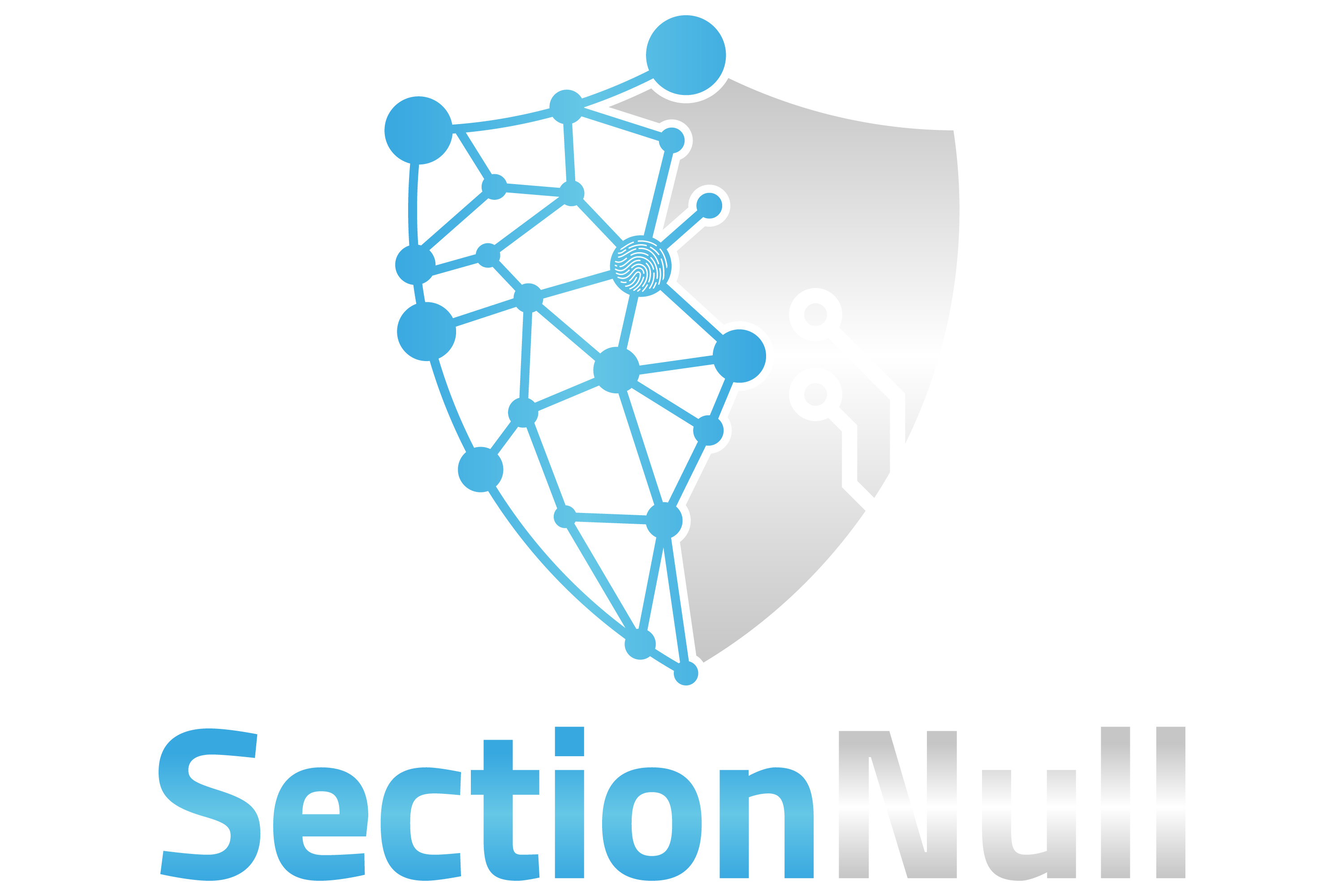 SectionNull